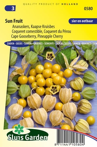 Coqueret comestible Du Perou SunFruit