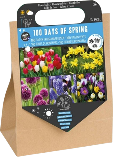 100 jours de printemps – 45 bulbes à fleurs