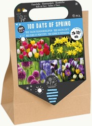 100 jours de printemps – 45 bulbes à fleurs