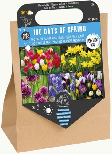 100 jours de printemps – 45 bulbes à fleurs