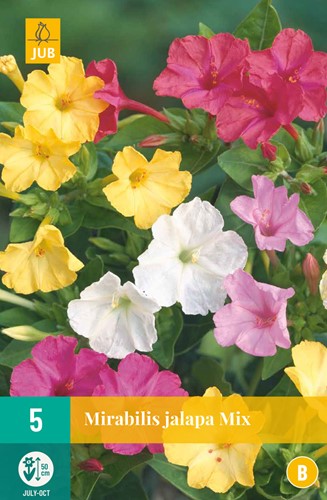 Mirabilis Jalapa Mix - Belle-de-nuit