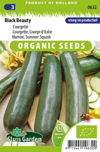 Courgette, Courge d Italie Black Beauty EKO