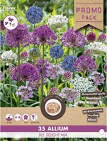 Allium Bee Delight Mix - Ail d'ornament