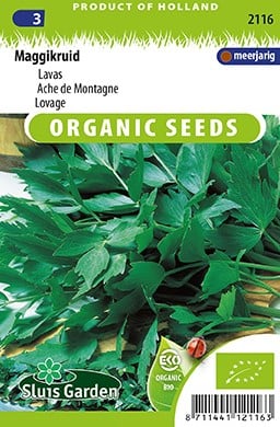 Ache des montagnes EKO - Levisticum Officinalis
