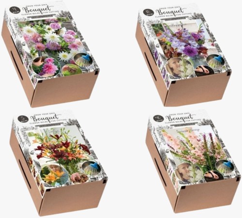 2x Grow Your Own Bouquet – Cadeau de Bulbes de Fleurs