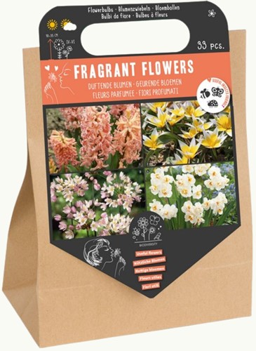 33 bulbes à fleurs parfumées