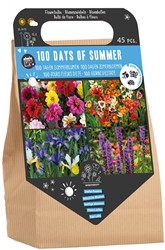 100 jours Fleurs d'Ete - Bulbers à Fleurs