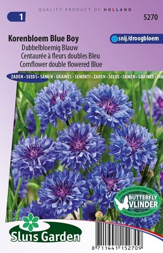 Centaurée à fleurs doubles Blue Boy