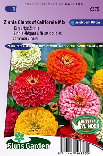 Zinnia élégant à fleurs doubles Giant of California Mix