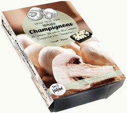 Kit de culture de Champignons Blancs