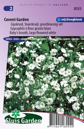 Gypsophile Covent Garden - Gypsophila