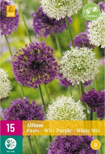Allium Violet & Blanc Mélange