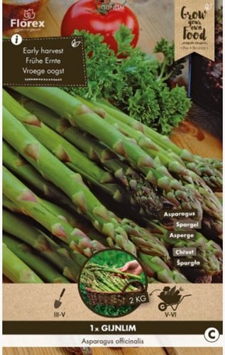 Asperge vertes (Asparagus Gijnlim)