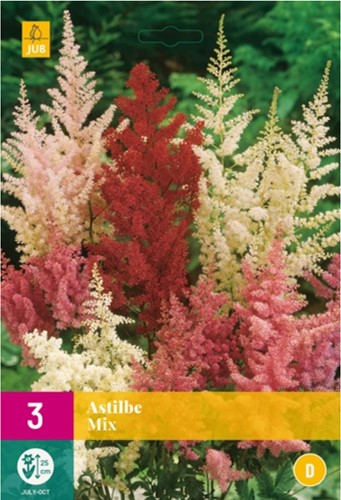 Astilbe Mélange