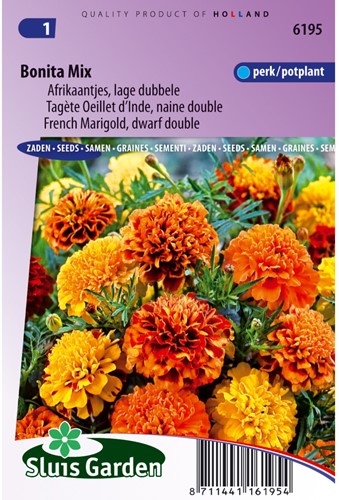 Afrikaantje Bonita mix - Tagetes
