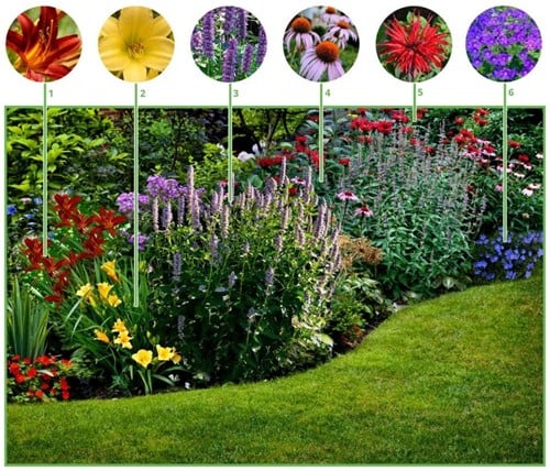 Borderpakket Langbloeiende border (6 planten:1m2)