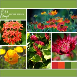 Paquet pour Plates-bandes Rouges et Orange (6 plantes : 1 m²)