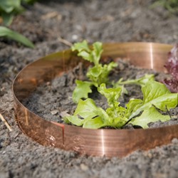 Disque contre escargots Cuivre 35cm / 5cm