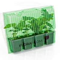 Geranium sanguineum Johnson's Blue - Géranium (Pack de Six)-1