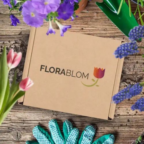 Greengifts Mélange 40 pcs en Showbox-2