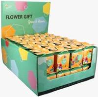 Buzzy Flower Gift Insecten Bloemen mix (1 Doosje)-2