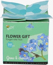 Buzzy Flower Gift Vergeet-me-nietje - Myosotis (1 Doosje)