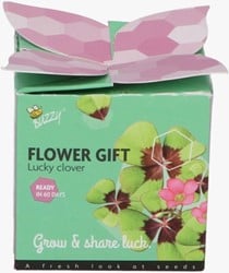 Buzzy Flower Gift Klavertje Vier - Trifolium (1 Doosje)