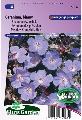 Géranium des prés bleu - Geranium