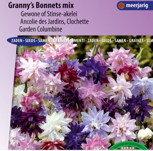 Ancolie des Jardins Granny's Bonnets mix