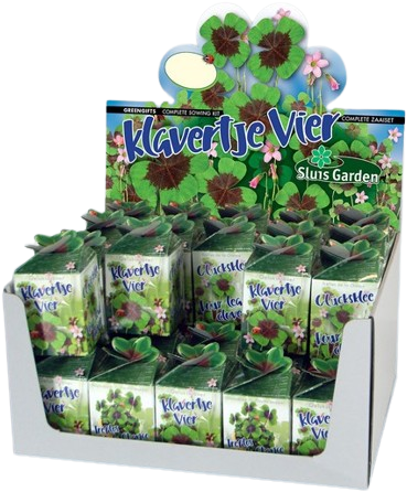 Greengift Klavertje-vier 40 stuks in showdoos