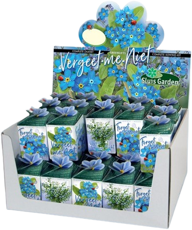 Greengift Vergeet-me-niet 40 stuks in showdoos