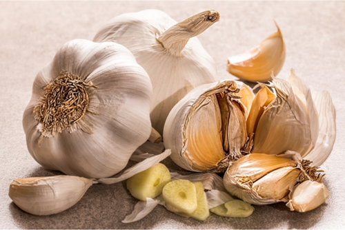 Ail cultivé (allium sativum)