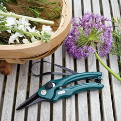 Cisaille de Fleuriste RHS - Burgon & Ball