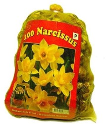 Narcisses Fantaisie en Mélange XL-Emballage