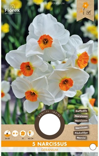 Narcisse Geranium