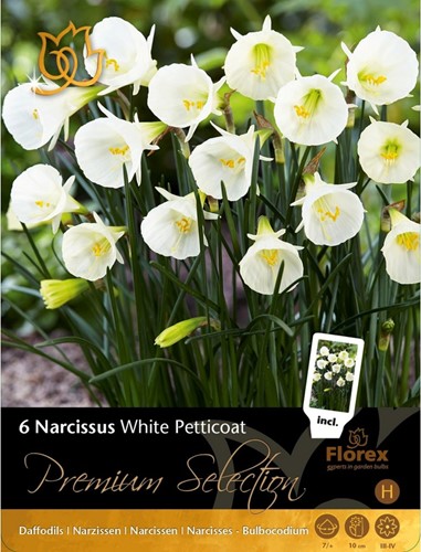 Narcisse White Petticoat