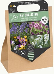 Pack de bulbes à naturaliser – 40 bulbes