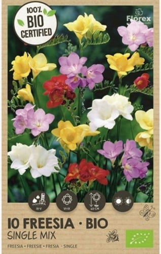 Bulbes Biologiques: Freesias single en mélange