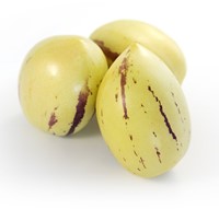 Pepino, Poire-melon – Solanumn muricatum