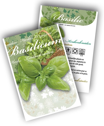 Basilic
