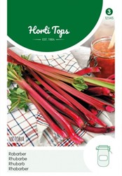 Rhubarbe Victoria des graines - Hortitops - Rheum Undulatum