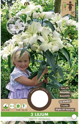 Lis d’arbre Pretty Woman – Lilium OT hybrid-2