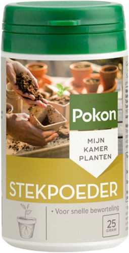 Hormone de bouturage - Pokon