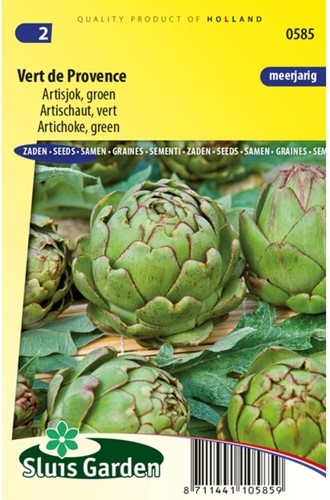 Artichaut Vert-2