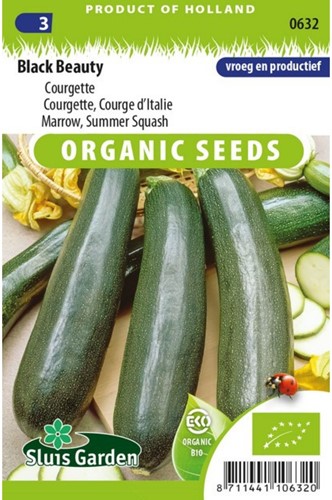 Courgette, Courge d Italie Black Beauty EKO-2