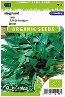 Ache des montagnes EKO - Levisticum Officinalis-2
