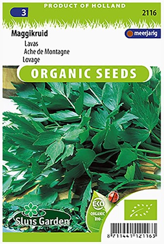 Ache des montagnes EKO - Levisticum Officinalis-2