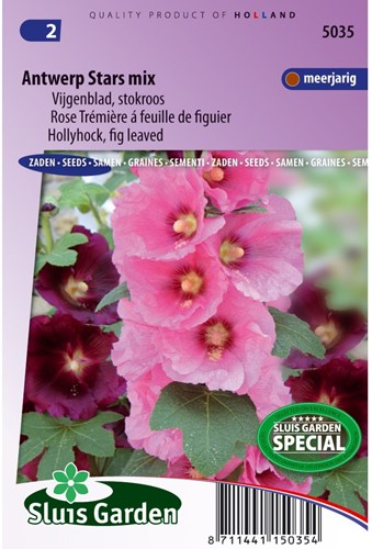Rose Trémière simple à feuille de figuier Antwerp Stars mix-2