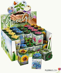 Greengift Gemengd 40 stuks in showdoos