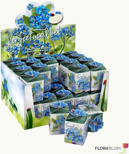 Greengift Ne-m'oubliez-pas 40 pcs en showbox